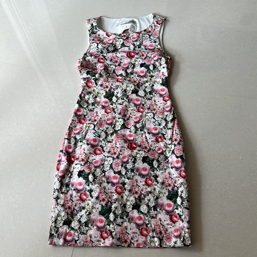 Zara Trafaluc Flower Dress 00